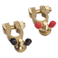 Brass Battery Terminal Wingnut (1 Negative 1 Positive)