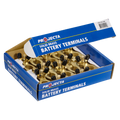 Wingnut Brass Battery Negative Terminal (Box 10)