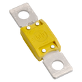 100A Megaval Fuse (1)