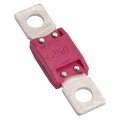 250A Megaval Fuse (1)