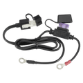 Fused Vehicle Harness