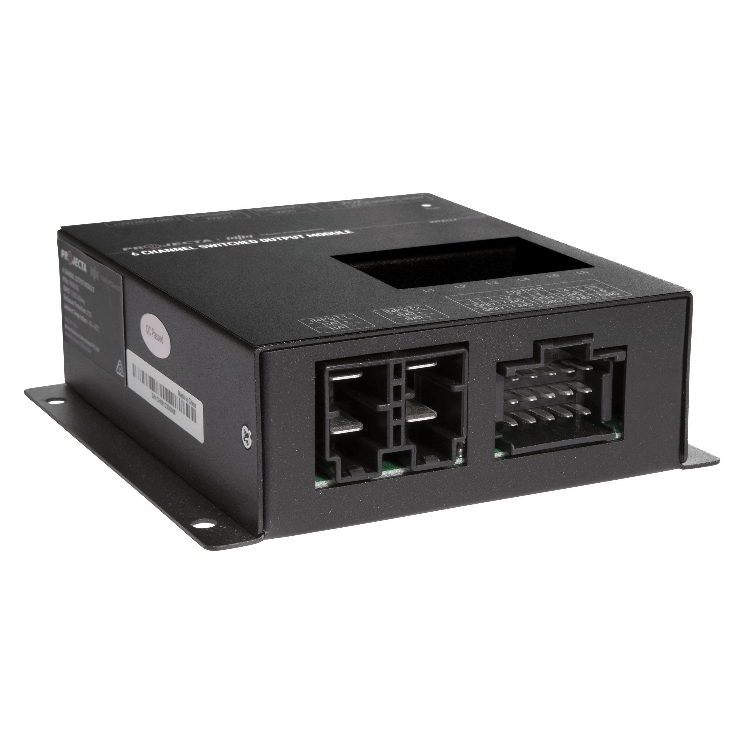 6 Channel Output Module